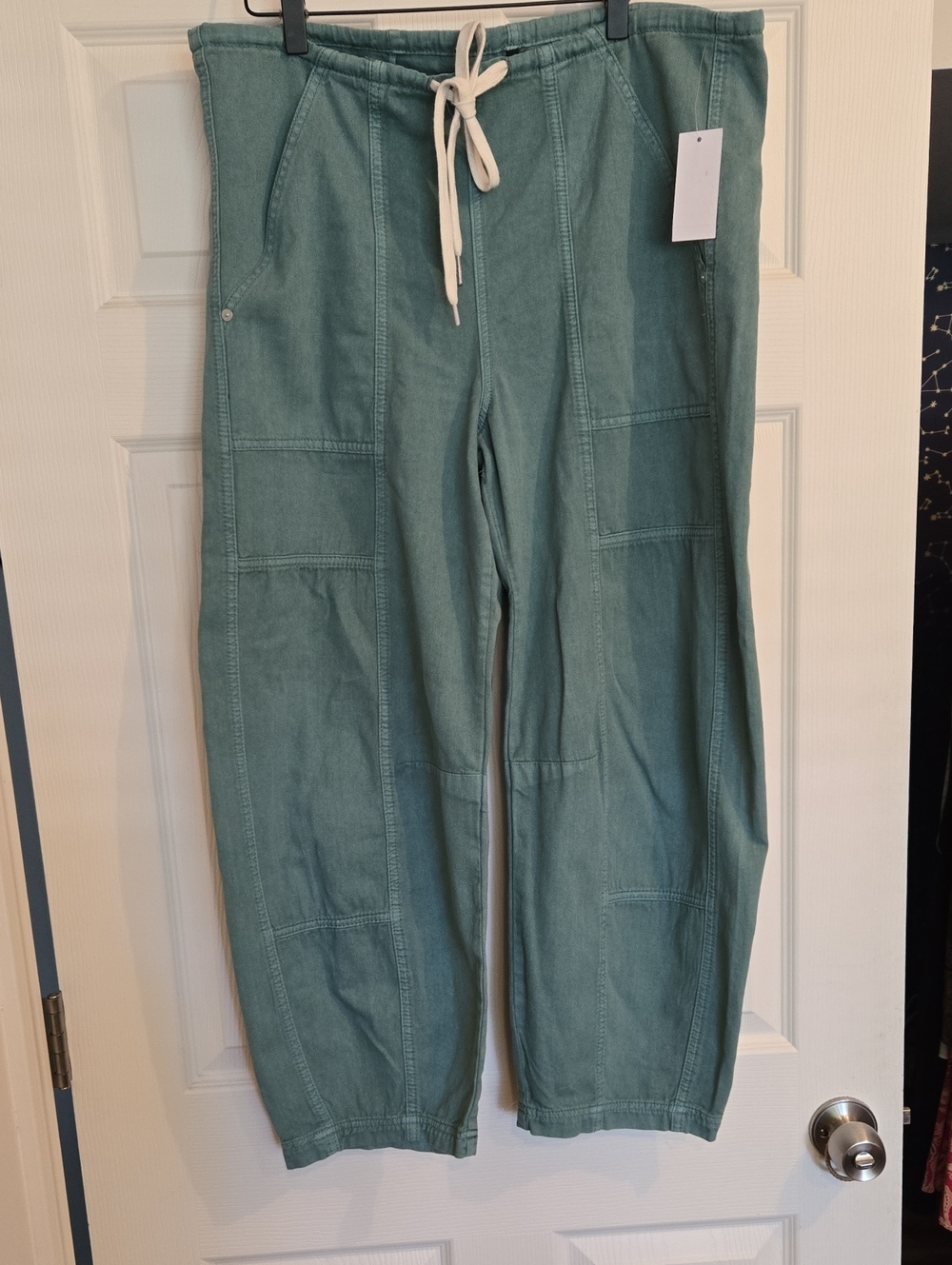 Blank NYC Casual Drawstring Barrel Leg Pants in Blue Green